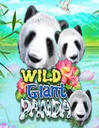 ลองตอนนี้! ทดลองเล่นสล็อต q9 สูตรเด็ดต้องลอง